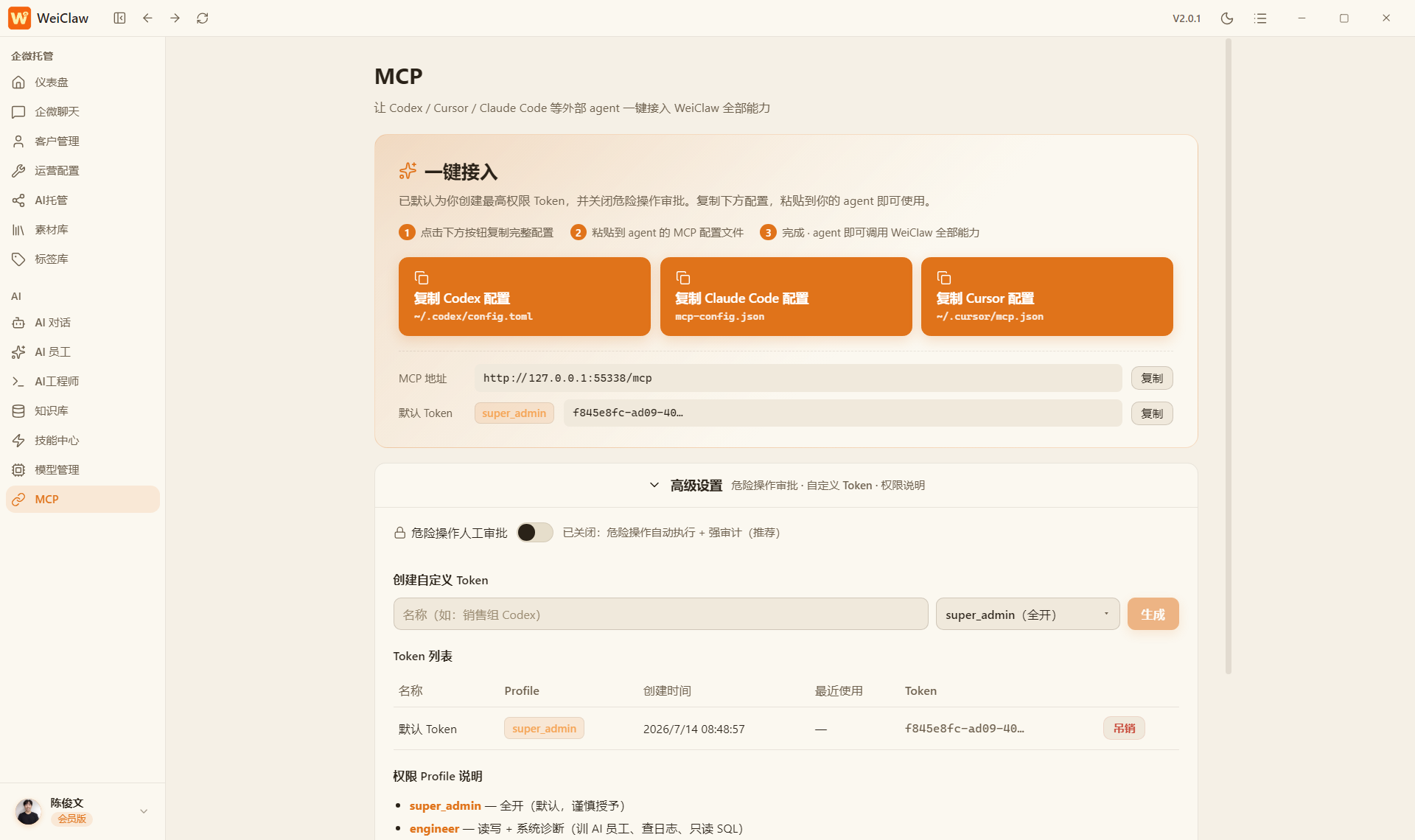 MCP 工具